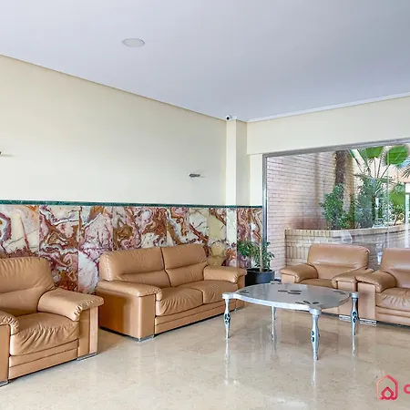 Comodo Y Centrico Magic World